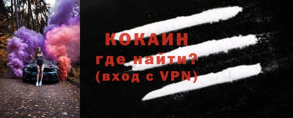 дживик Абаза