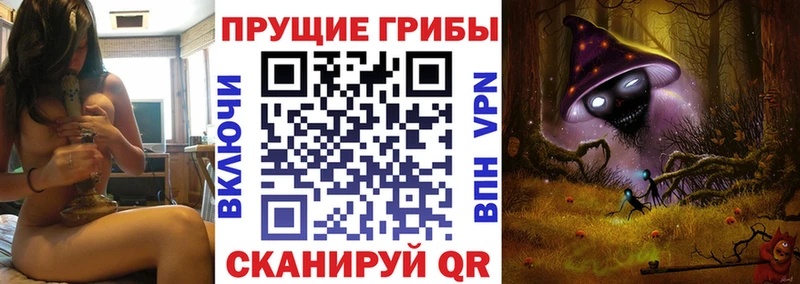 Псилоцибиновые грибы ЛСД  Заводоуковск 