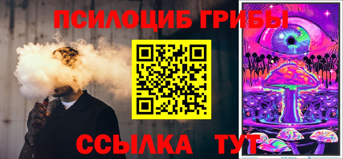 Псилоцибиновые грибы Psilocybine cubensis  Псилоцибиновые грибы Psilocybine cubensis  Заводоуковск  Вход с VPN 