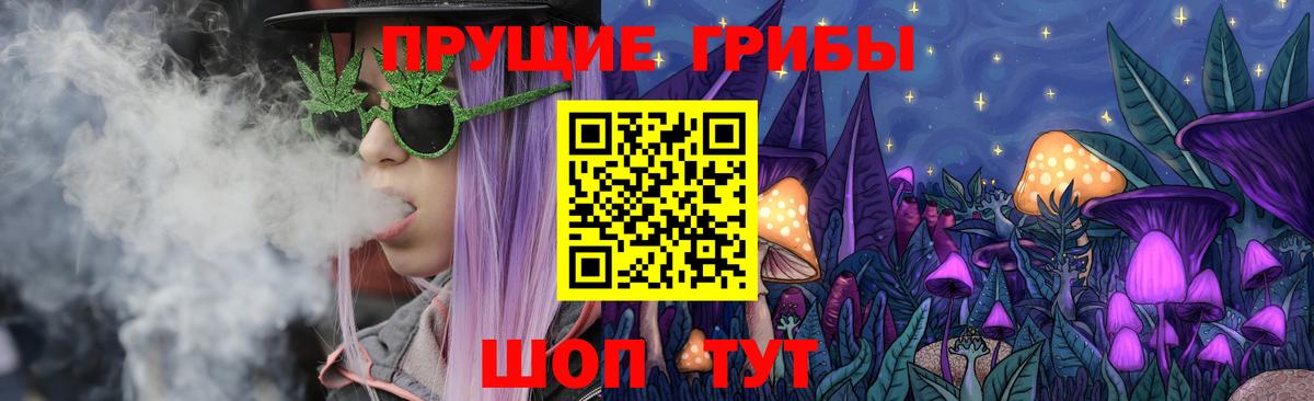 Галлюциногенные грибы Psilocybe Заводоуковск