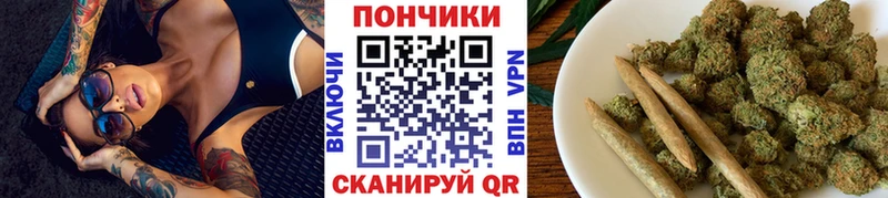 Бошки марихуана гибрид  Заводоуковск 